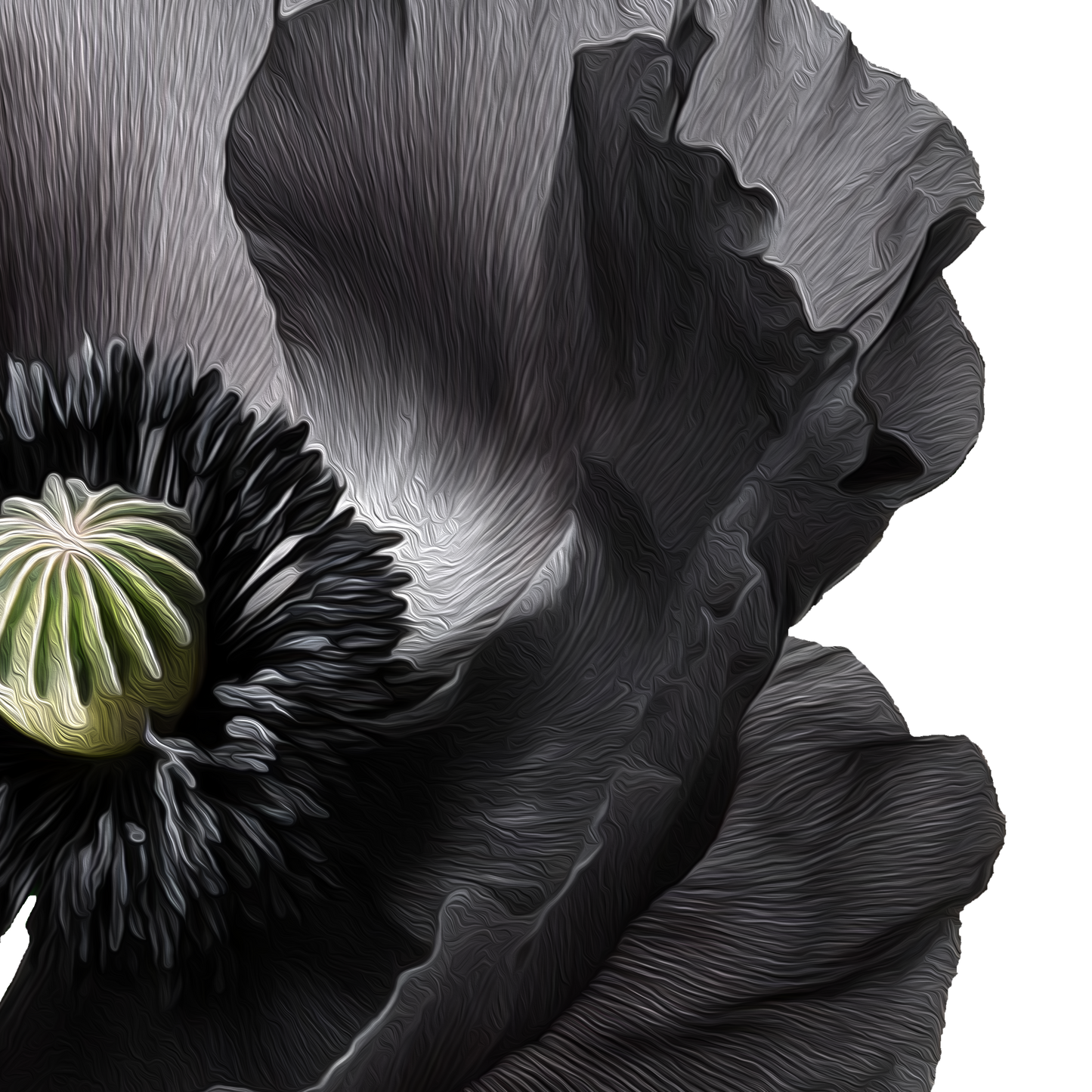 Black Poppies